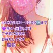 ヒメ日記 2025/04/04 07:17 投稿 風花 Bell.Madonna（ベルマドンナ）