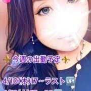 ヒメ日記 2025/04/06 02:17 投稿 風花 Bell.Madonna（ベルマドンナ）