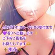 ヒメ日記 2025/04/13 06:57 投稿 風花 Bell.Madonna（ベルマドンナ）