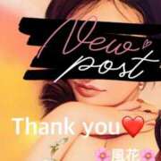 ヒメ日記 2025/04/25 12:47 投稿 風花 Bell.Madonna（ベルマドンナ）