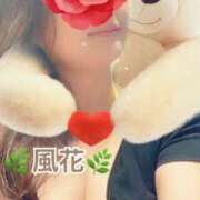 ヒメ日記 2025/04/30 18:47 投稿 風花 Bell.Madonna（ベルマドンナ）