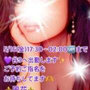 ヒメ日記 2025/05/16 07:57 投稿 風花 Bell.Madonna（ベルマドンナ）