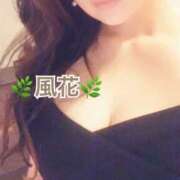 ヒメ日記 2025/05/22 10:57 投稿 風花 Bell.Madonna（ベルマドンナ）