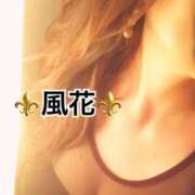 ヒメ日記 2025/06/08 12:57 投稿 風花 Bell.Madonna（ベルマドンナ）