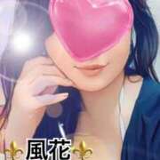 ヒメ日記 2025/06/15 07:17 投稿 風花 Bell.Madonna（ベルマドンナ）