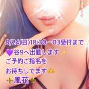 ヒメ日記 2025/08/24 09:27 投稿 風花 Bell.Madonna（ベルマドンナ）