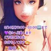 ヒメ日記 2025/09/24 07:37 投稿 風花 Bell.Madonna（ベルマドンナ）