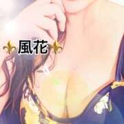 ヒメ日記 2025/10/19 06:47 投稿 風花 Bell.Madonna（ベルマドンナ）