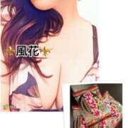 ヒメ日記 2025/10/27 06:47 投稿 風花 Bell.Madonna（ベルマドンナ）