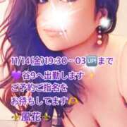 ヒメ日記 2025/11/14 20:10 投稿 風花 Bell.Madonna（ベルマドンナ）
