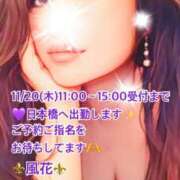 ヒメ日記 2025/11/20 11:57 投稿 風花 Bell.Madonna（ベルマドンナ）