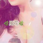 ヒメ日記 2025/11/21 09:07 投稿 風花 Bell.Madonna（ベルマドンナ）