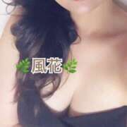 ヒメ日記 2025/12/17 23:57 投稿 風花 Bell.Madonna（ベルマドンナ）