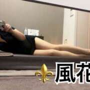 ヒメ日記 2025/12/19 06:47 投稿 風花 Bell.Madonna（ベルマドンナ）