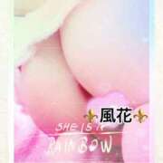 ヒメ日記 2025/12/19 06:57 投稿 風花 Bell.Madonna（ベルマドンナ）