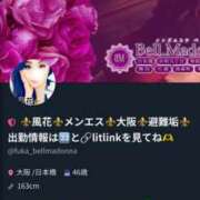 ヒメ日記 2025/12/23 12:57 投稿 風花 Bell.Madonna（ベルマドンナ）