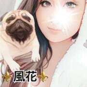 ヒメ日記 2026/01/08 16:57 投稿 風花 Bell.Madonna（ベルマドンナ）