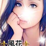 ヒメ日記 2026/01/13 11:27 投稿 風花 Bell.Madonna（ベルマドンナ）