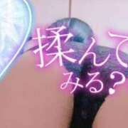 ヒメ日記 2025/11/29 10:27 投稿 みり One More奥様　厚木店