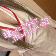 ヒメ日記 2026/03/23 09:37 投稿 みり One More奥様　厚木店