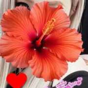 ヒメ日記 2026/06/23 09:27 投稿 みり One More奥様　厚木店