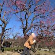 ヒメ日記 2025/02/13 23:37 投稿 小坂菜緒(なお) 東京不倫 渋谷店