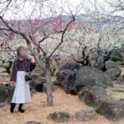 ヒメ日記 2025/03/15 12:08 投稿 小坂菜緒(なお) 東京不倫 渋谷店