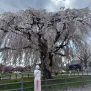 ヒメ日記 2025/05/05 10:57 投稿 小坂菜緒(なお) 東京不倫 渋谷店