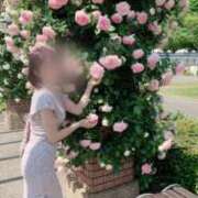 ヒメ日記 2025/05/19 12:47 投稿 小坂菜緒(なお) 東京不倫 渋谷店