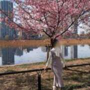 ヒメ日記 2026/03/01 10:47 投稿 小坂菜緒(なお) 東京不倫 渋谷店