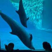 たま 水族館に行ったお話🐬 ごほうびSPA池袋店