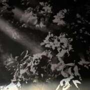 ヒメ日記 2025/12/30 14:26 投稿 りおな YDHやまぐちデリバリーヘルス（山口、新山口、防府、宇部）