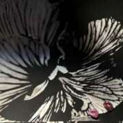 ヒメ日記 2026/01/30 14:20 投稿 りおな YDHやまぐちデリバリーヘルス（山口、新山口、防府、宇部）