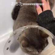 ヒメ日記 2024/12/16 19:03 投稿 むむ if(イフ) 中村店