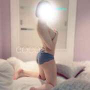 ヒメ日記 2024/12/29 10:09 投稿 ここあ 東京リップ 池袋店