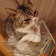 ヒメ日記 2025/01/26 12:01 投稿 かなで【梅田堂山女学院】 梅田堂山女学院