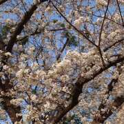 ヒメ日記 2025/03/31 18:41 投稿 かなで【梅田堂山女学院】 梅田堂山女学院