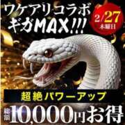 ヒメ日記 2025/02/26 16:30 投稿 ななえ 西船人妻花壇