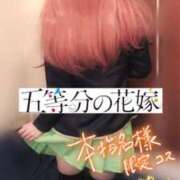 ヒメ日記 2025/02/22 11:26 投稿 あげは 川崎ソープ　クリスタル京都南町