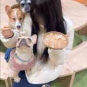 ヒメ日記 2025/03/04 23:33 投稿 あげは 川崎ソープ　クリスタル京都南町