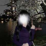 ヒメ日記 2025/04/12 06:31 投稿 あげは 川崎ソープ　クリスタル京都南町