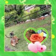 ヒメ日記 2025/06/19 07:50 投稿 志野 熟女の風俗最終章 新横浜店