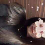 ヒメ日記 2024/12/22 21:20 投稿 ひらり リアル 梅田店