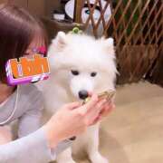 ヒメ日記 2025/07/17 09:00 投稿 ひらり リアル 梅田店