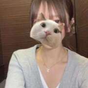 ヒメ日記 2026/04/15 20:40 投稿 ひらり リアル 梅田店