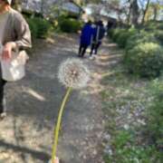 ヒメ日記 2025/04/19 18:29 投稿 あん☆期待度120％清楚系美少女 Ribbon 1st