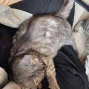 ヒメ日記 2025/06/05 19:54 投稿 あん☆期待度120％清楚系美少女 Ribbon 1st