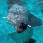 ヒメ日記 2025/06/14 00:53 投稿 あん☆期待度120％清楚系美少女 Ribbon 1st