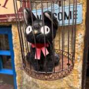 ヒメ日記 2025/06/19 17:43 投稿 あん☆期待度120％清楚系美少女 Ribbon 1st