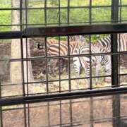 ヒメ日記 2025/06/23 12:04 投稿 あん☆期待度120％清楚系美少女 Ribbon 1st